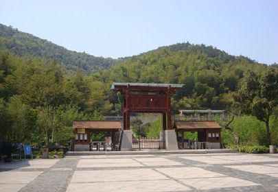 图