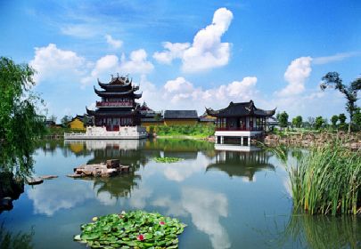 图
